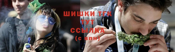тгк Абинск